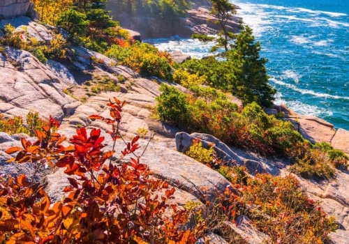 Do Senior Citizens Get Free Access to New York State Parks?